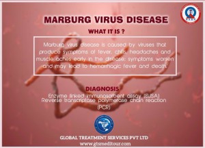 Marburg virus diseases